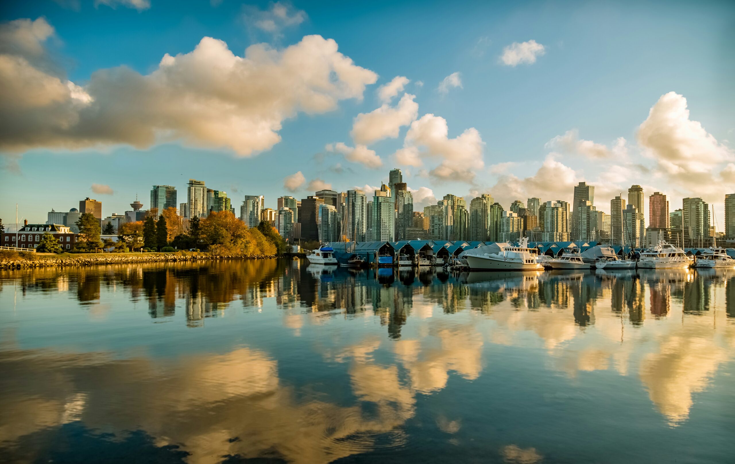 buildings and body of water